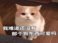 北京赞赏互动信息科技有限公司