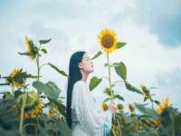 北京赞赏互动信息科技有限公司