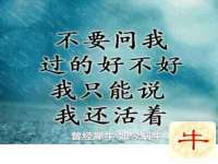 北京赞赏互动信息科技有限公司