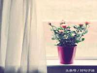 北京赞赏互动信息科技有限公司