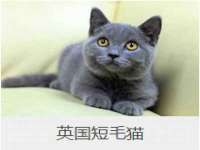 北京赞赏互动信息科技有限公司