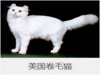 北京赞赏互动信息科技有限公司