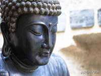 北京赞赏互动信息科技有限公司