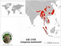 北京赞赏互动信息科技有限公司