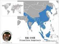 北京赞赏互动信息科技有限公司