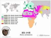 北京赞赏互动信息科技有限公司