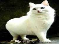 北京赞赏互动信息科技有限公司
