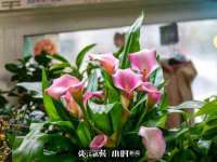 北京赞赏互动信息科技有限公司