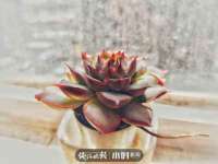 北京赞赏互动信息科技有限公司