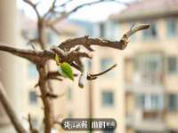 北京赞赏互动信息科技有限公司