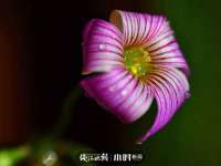 北京赞赏互动信息科技有限公司