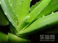 北京赞赏互动信息科技有限公司