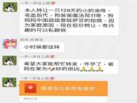 北京赞赏互动信息科技有限公司