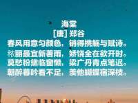 北京赞赏互动信息科技有限公司