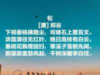 北京赞赏互动信息科技有限公司