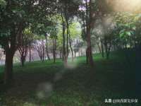 北京赞赏互动信息科技有限公司