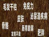 北京赞赏互动信息科技有限公司