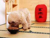 北京赞赏互动信息科技有限公司