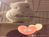 北京赞赏互动信息科技有限公司