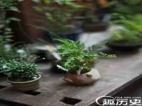 北京赞赏互动信息科技有限公司