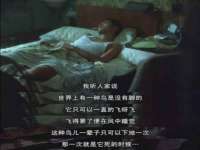 北京赞赏互动信息科技有限公司