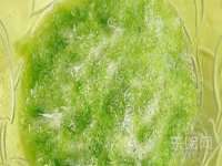 北京赞赏互动信息科技有限公司