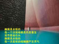 北京赞赏互动信息科技有限公司